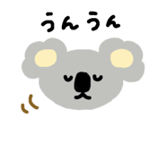 797960513