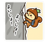 797965230
