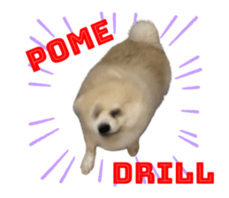 797966123