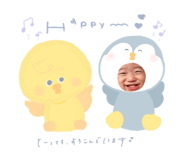 798004017