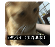 798013643