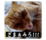 798013645