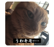 798013651
