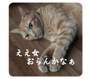 798013659