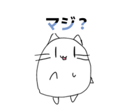 798014537