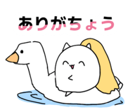 798014549
