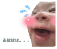798015827
