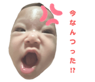 798015828