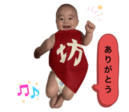 798022478