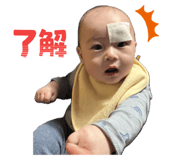 798022481