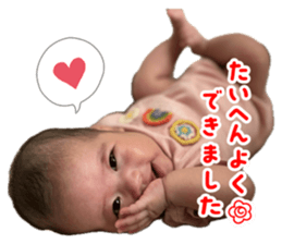 798035281