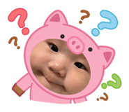 798038737