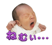 798046244