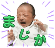 798046245
