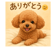 798058126