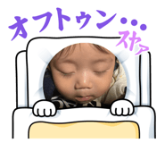 798065557