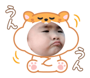 798067855