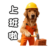 798083382