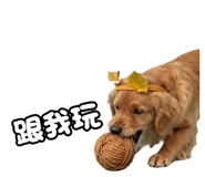 798083404