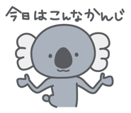 798093626