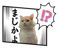798122338