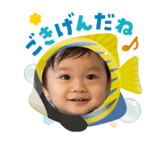 798122637