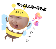 798124253