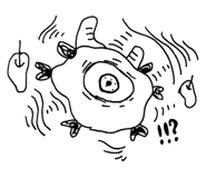 798128527