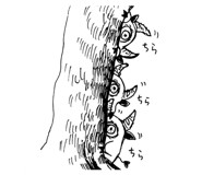 798128529