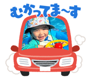 798133086