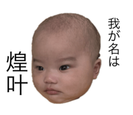 798150826
