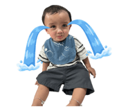 798169634