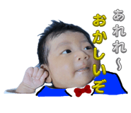 798180955