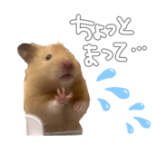 798182981
