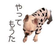 798183301