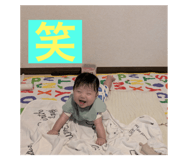 798197951
