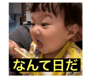 798197955