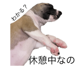 798202535