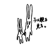 798205976