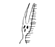 798205985