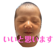798206287