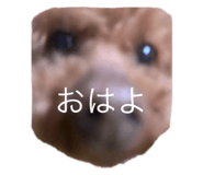 798206490