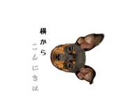 798209444