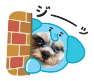 798225569