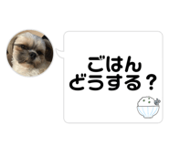 798225572