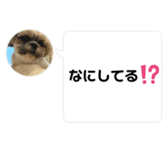 798225573