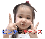 798225658