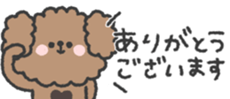 798231944