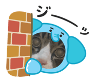 798236634