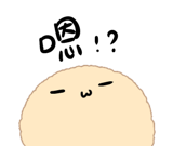 798244969